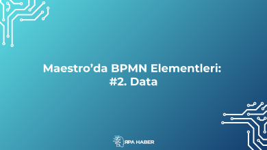 Maestro’da BPMN Elementleri ve İşlevleri. #2. Data